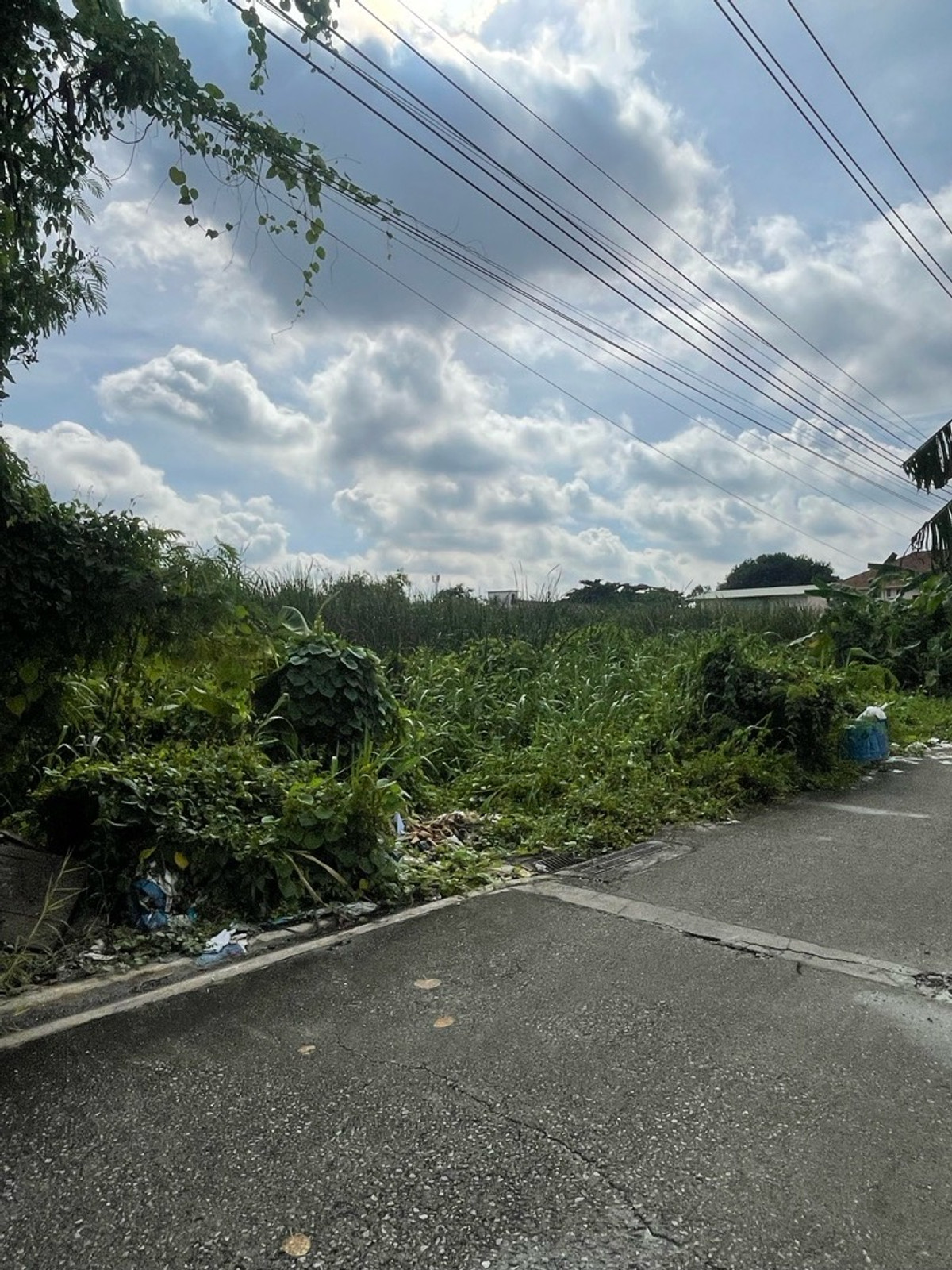 ขายที่ดินบางแค เพชรเกษม : ที่ดินเปล่า 2 ไร่ เพชรเกษม 81 ภาษีเจริญ