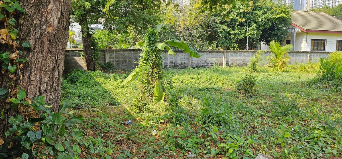 ที่ดินอ่อนนุช อุดมสุข : ขายที่ดินเปล่า หลังห้าง เซ็นจูรี่ เดอะ มูฟวี่ พลาซ่า สุขุมวิท  ขนาด 313 ตร.ว รูปแปลงที่ดินสีเหลี่ยม (S03-1962) 