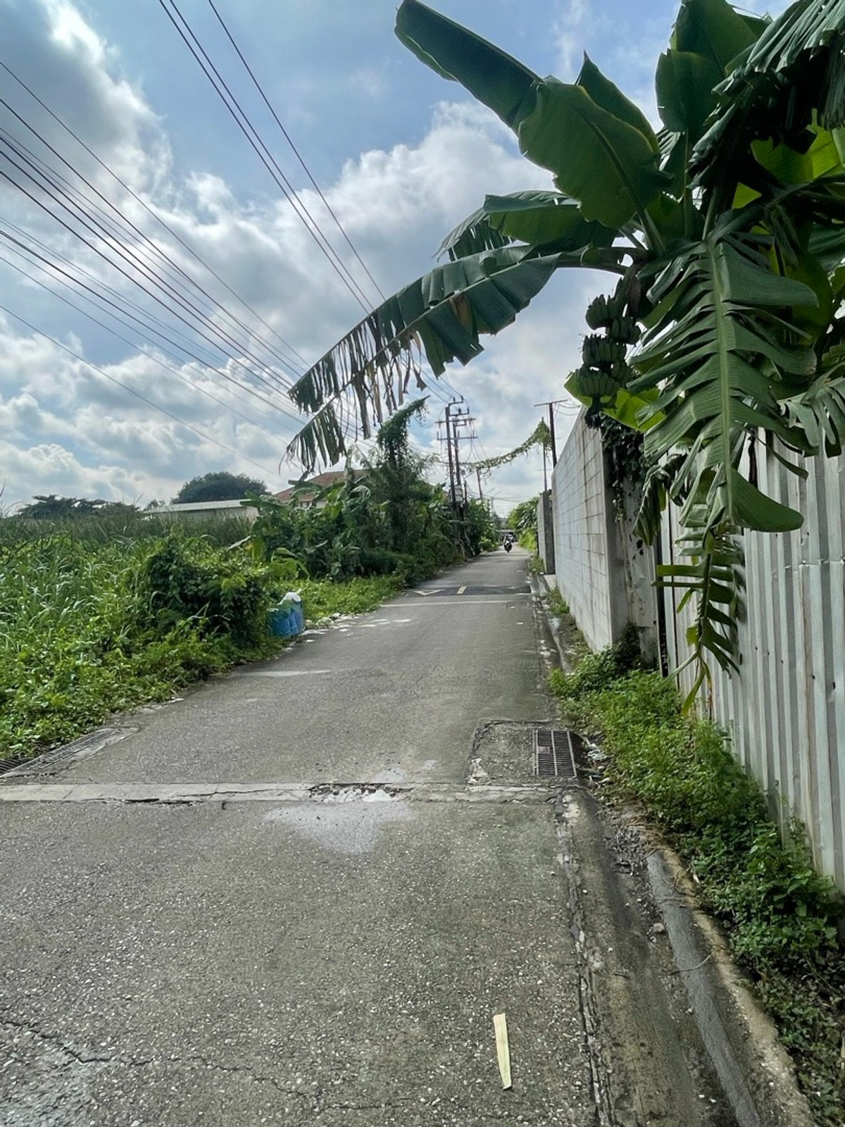 ขายที่ดินบางแค เพชรเกษม : ที่ดินเปล่า 2 ไร่ เพชรเกษม 81 ภาษีเจริญ