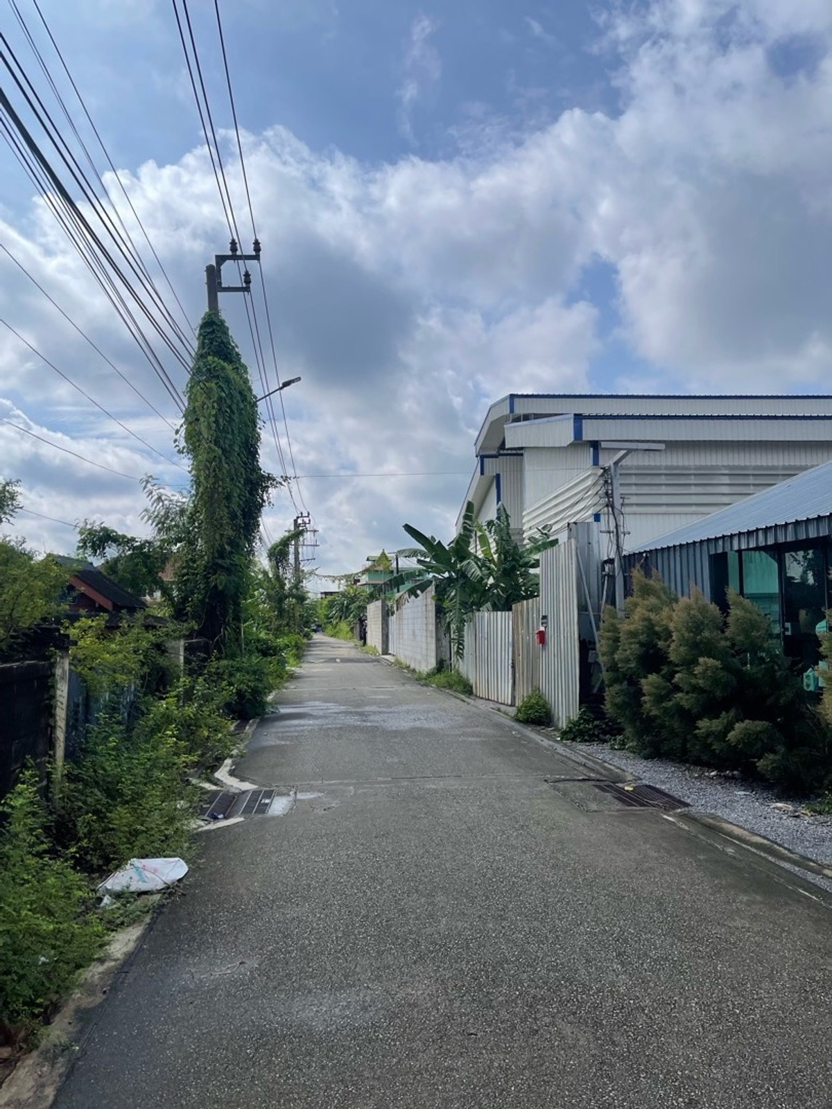 For SaleLandBang kae, Phetkasem : 2 rai of land, Petchkasem 81, Phasi Charoen