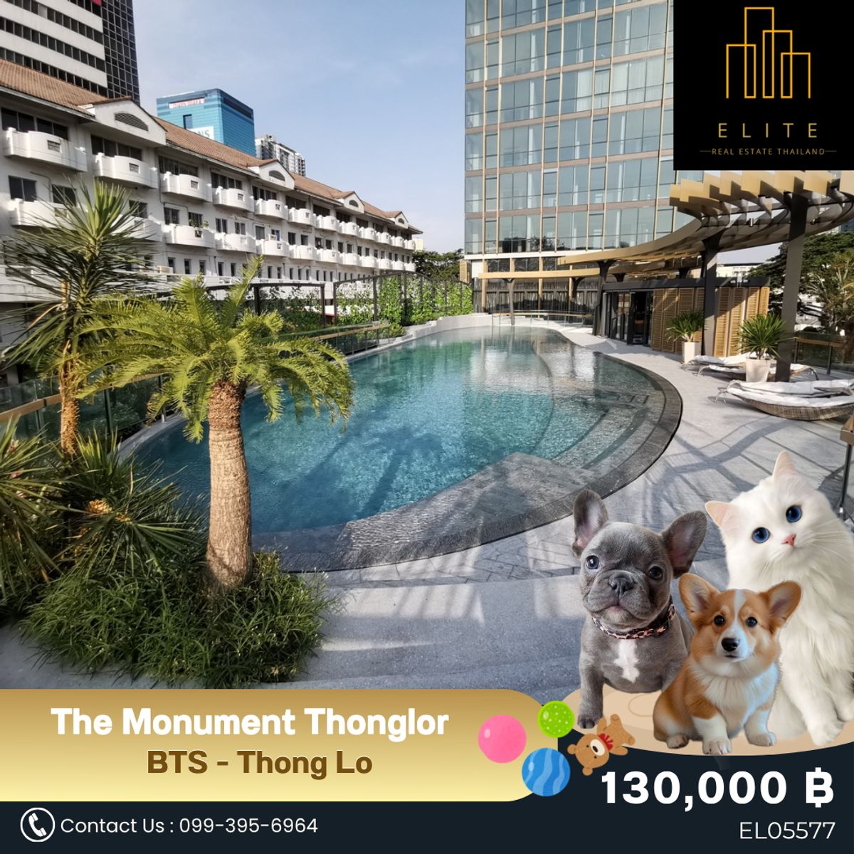 ให้เช่าคอนโดสุขุมวิท อโศก ทองหล่อ : 🐾 Pet-Friendly คอนโดระดับ Ultra Luxury ใจกลางทองหล่อ ที่ทั้งคุณและลูกๆคุณจะหลงรัก 🐶🐱