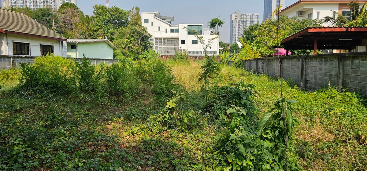 ที่ดินอ่อนนุช อุดมสุข : ขายที่ดินเปล่า หลังห้าง เซ็นจูรี่ เดอะ มูฟวี่ พลาซ่า สุขุมวิท  ขนาด 313 ตร.ว รูปแปลงที่ดินสีเหลี่ยม (S03-1962) 