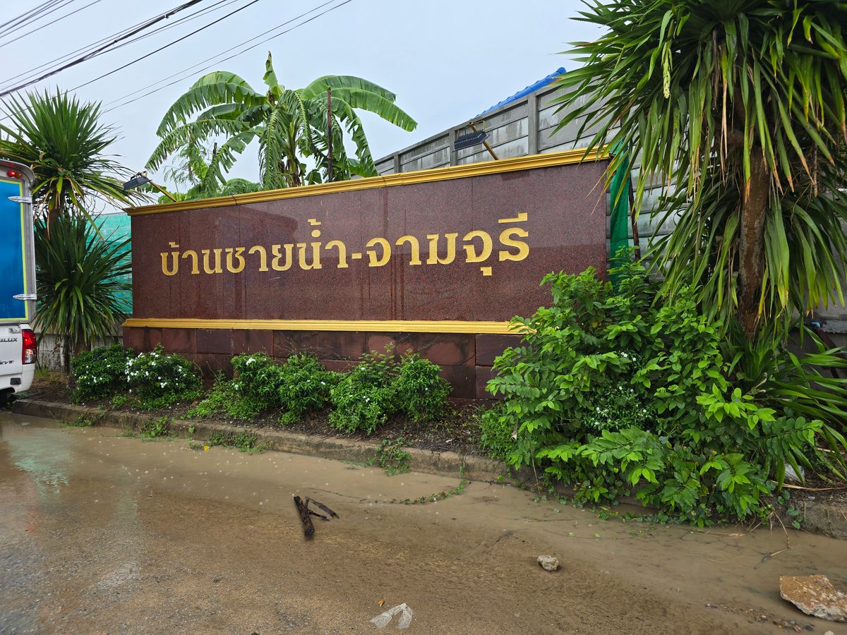 ขายอาคารพาณิชย์นนทบุรี บางใหญ่ บางบัวทอง : ขายตามสภาพ...หมู่บ้านชายน้ำ จามจุรี   ตึกแถว 3 ชั้น 2 ห้อง เนื้อที่รวม 41 ตรว.  ต้องรีโนเวทใหม่ 