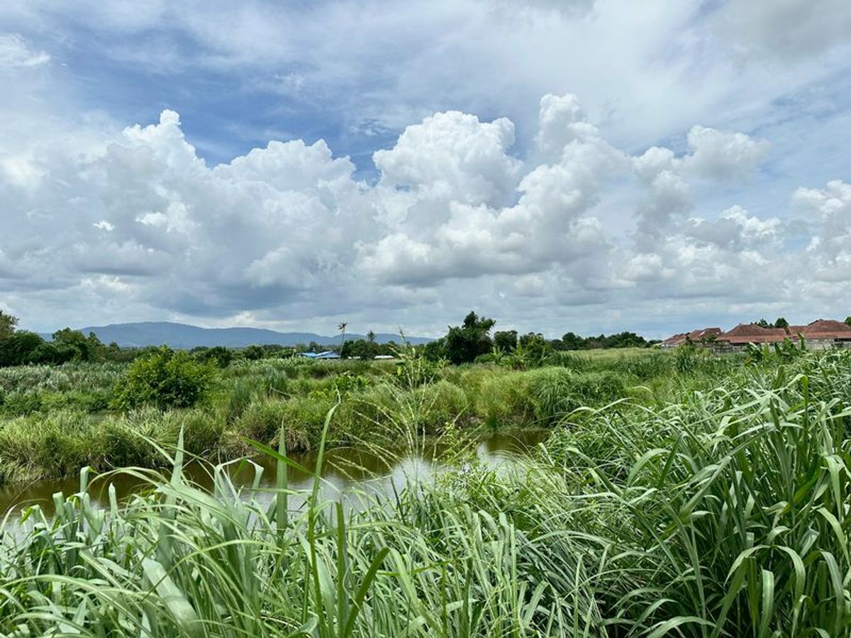 ขายที่ดินศรีราชา แหลมฉบัง บ้านบึง : ขายที่ดินเปล่าหนองขาม ศรีราชา แปลงงาม ราคาดี วิวเขาเต็ม ติดกับ ไร่คาราวาน 