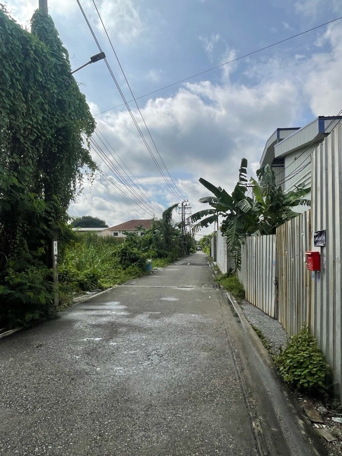 ขายที่ดินบางแค เพชรเกษม : ที่ดินเปล่า 2 ไร่ เพชรเกษม 81 ภาษีเจริญ