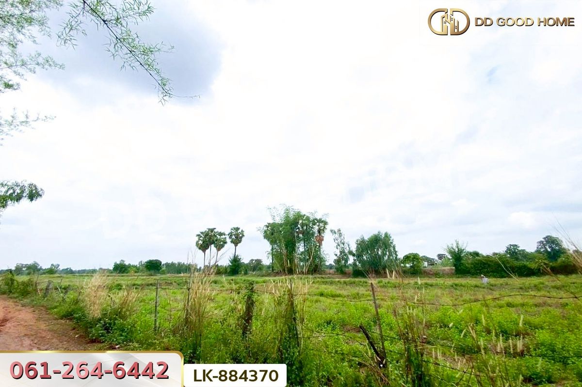 ขายที่ดินขอนแก่น : LK-884370 ที่ดินพระยืน 11 ไร่ 61 ตร.ว. ขอนแก่น ใกล้โรงเรียนท่าศาลาประชานุเคราะห์