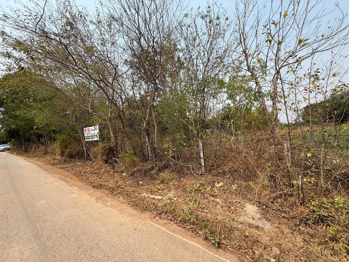 ขายที่ดินมหาสารคาม : ขายที่ดินถูก ต่ำกว่าประเมิน 377 ตร.วา ใกล้ ม.มหาสารคาม ติดถนน 2 ด้าน
