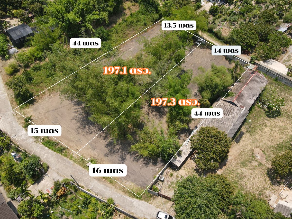 ขายที่ดินเชียงใหม่ : ขายที่ดิน 197 ตรว. ใกล้โรงเรียนนานาชาติลานนา 2 กม. ราคาต่ำกว่าตลาด 
