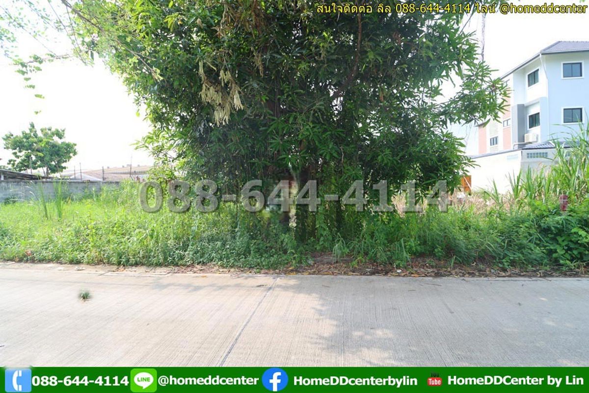 ขายที่ดินลาดกระบัง สุวรรณภูมิ : ขายที่ดิน 52 ตรว.พัฒนาชนบท 3 แยก 4 ลาดกระบัง ใกล้สนามบินสุวรรณภูมิ, แอร์ลิงก์ ลาดกระบัง เข้าออก ถ. ศรีนครินทร์-ร่มเกล้า และเลียบมอเตอร์เวย์ ได้