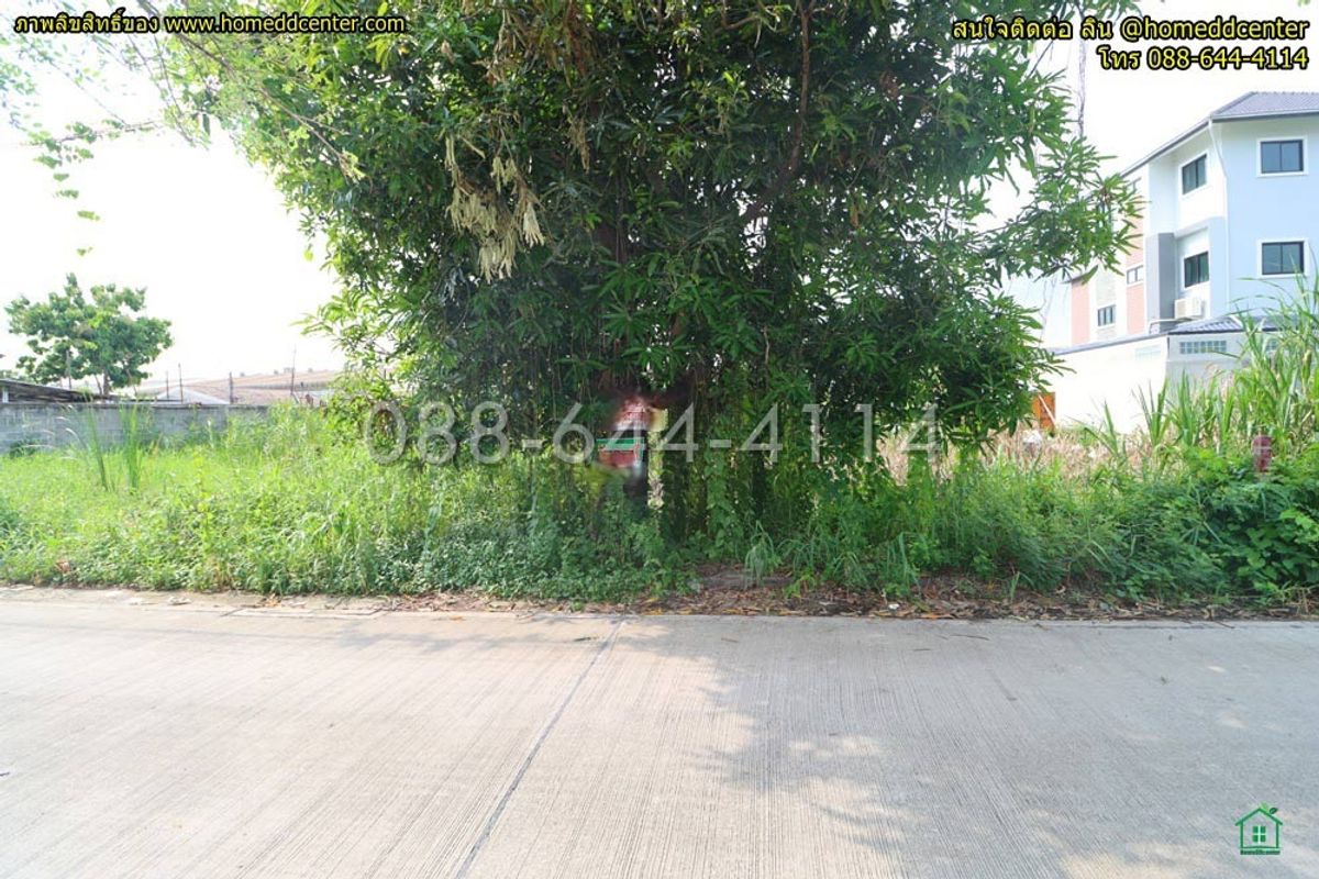 ขายที่ดินลาดกระบัง สุวรรณภูมิ : ขายที่ดิน 52 ตรว.พัฒนาชนบท 3 แยก 4 ลาดกระบัง ใกล้สนามบินสุวรรณภูมิ, แอร์ลิงก์ ลาดกระบัง เข้าออก ถ. ศรีนครินทร์-ร่มเกล้า และเลียบมอเตอร์เวย์ ได้