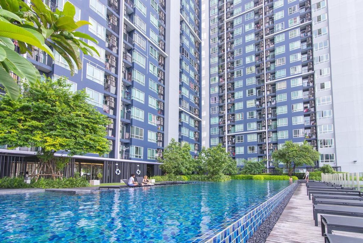 For RentCondoOnnut, Udomsuk : 💥DL-7875💥 The Base Sukhumvit 77  👉Line : @rangrak