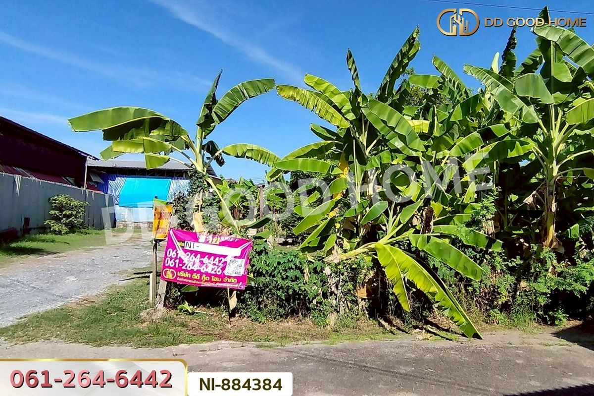 ขายที่ดินพุทธมณฑล ศาลายา : NI-884384 ที่ดินทวีวัฒนา 93.9 ตร.ว. ซ.พุทธมณฑล 27 ใกล้พุทธมณฑล สาย 2