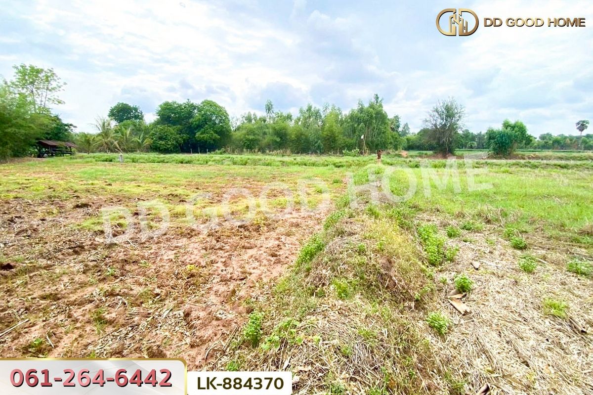 ขายที่ดินขอนแก่น : LK-884370 ที่ดินพระยืน 11 ไร่ 61 ตร.ว. ขอนแก่น ใกล้โรงเรียนท่าศาลาประชานุเคราะห์