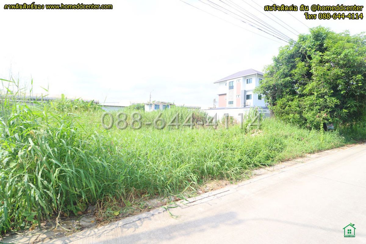 ขายที่ดินลาดกระบัง สุวรรณภูมิ : ขายที่ดิน 52 ตรว.พัฒนาชนบท 3 แยก 4 ลาดกระบัง ใกล้สนามบินสุวรรณภูมิ, แอร์ลิงก์ ลาดกระบัง เข้าออก ถ. ศรีนครินทร์-ร่มเกล้า และเลียบมอเตอร์เวย์ ได้