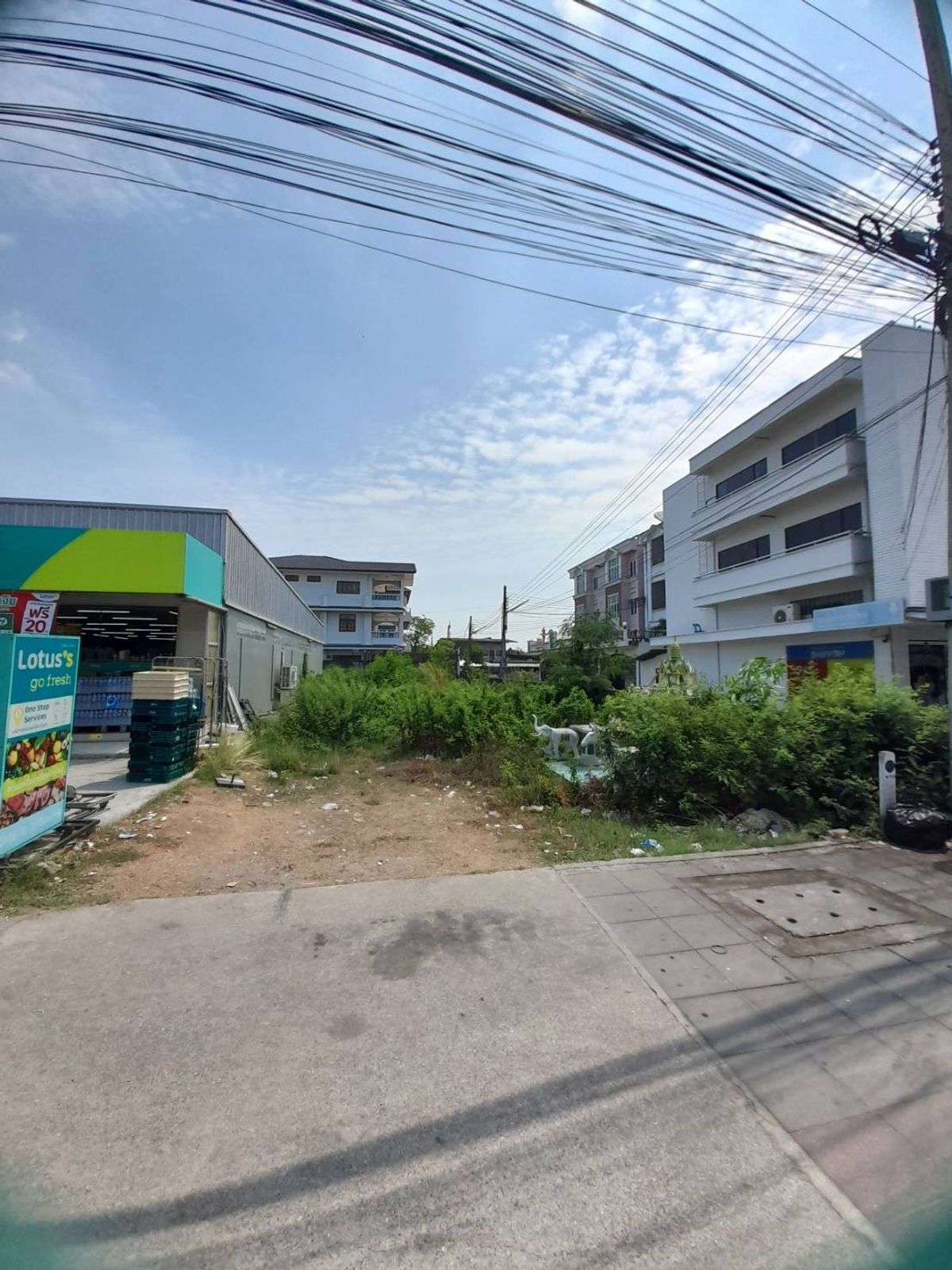 ขายที่ดินบางแค เพชรเกษม : ที่ดินว่างเปล่า บางแค