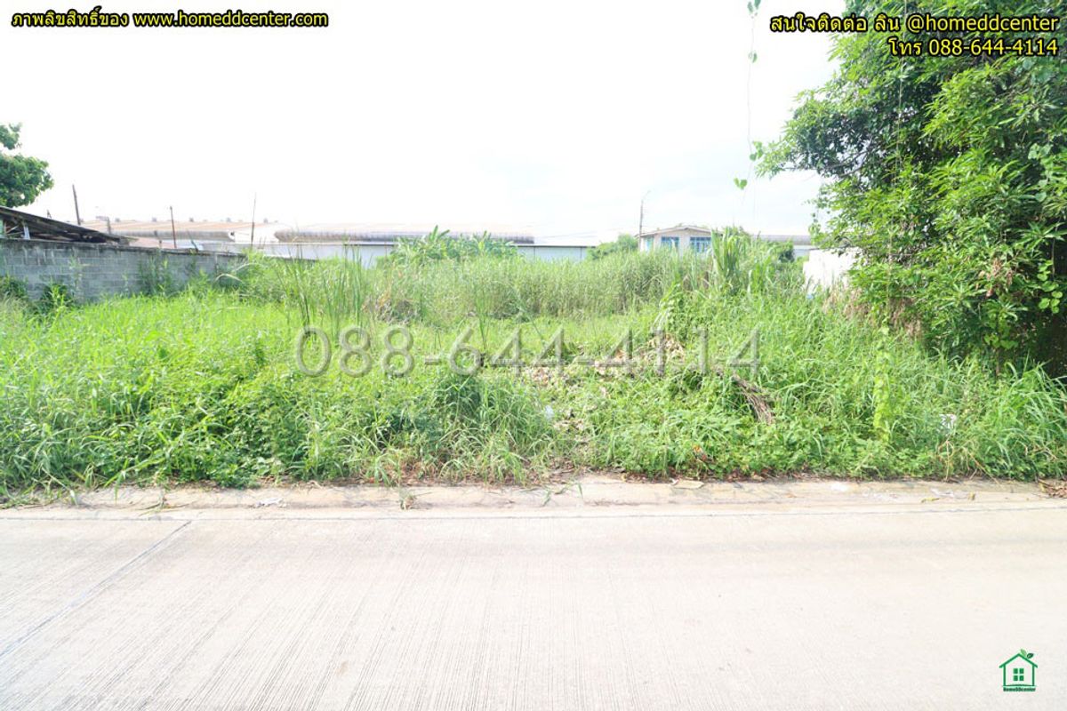 ขายที่ดินลาดกระบัง สุวรรณภูมิ : ขายที่ดิน 52 ตรว.พัฒนาชนบท 3 แยก 4 ลาดกระบัง ใกล้สนามบินสุวรรณภูมิ, แอร์ลิงก์ ลาดกระบัง เข้าออก ถ. ศรีนครินทร์-ร่มเกล้า และเลียบมอเตอร์เวย์ ได้