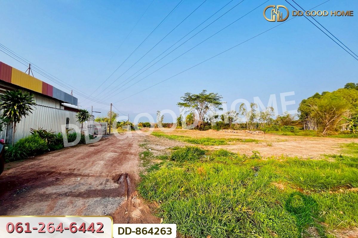 ขายที่ดินอุดรธานี : DD-864263 ที่ดินโนนสะอาด 2 ไร่ 30 ตร.ว. อุดรธานี ใกล้วัดเทพมงคล