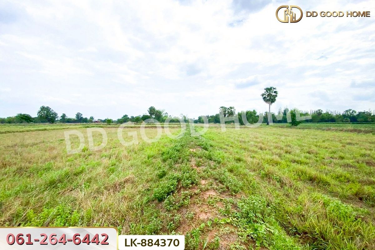 ขายที่ดินขอนแก่น : LK-884370 ที่ดินพระยืน 11 ไร่ 61 ตร.ว. ขอนแก่น ใกล้โรงเรียนท่าศาลาประชานุเคราะห์