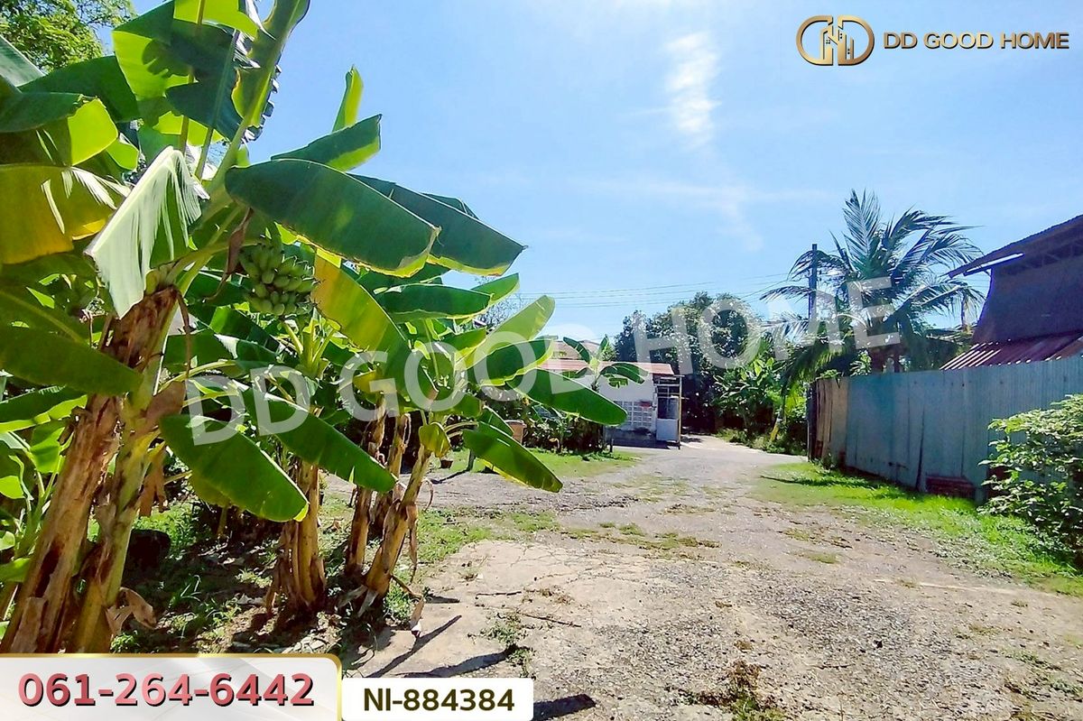 ขายที่ดินพุทธมณฑล ศาลายา : NI-884384 ที่ดินทวีวัฒนา 93.9 ตร.ว. ซ.พุทธมณฑล 27 ใกล้พุทธมณฑล สาย 2