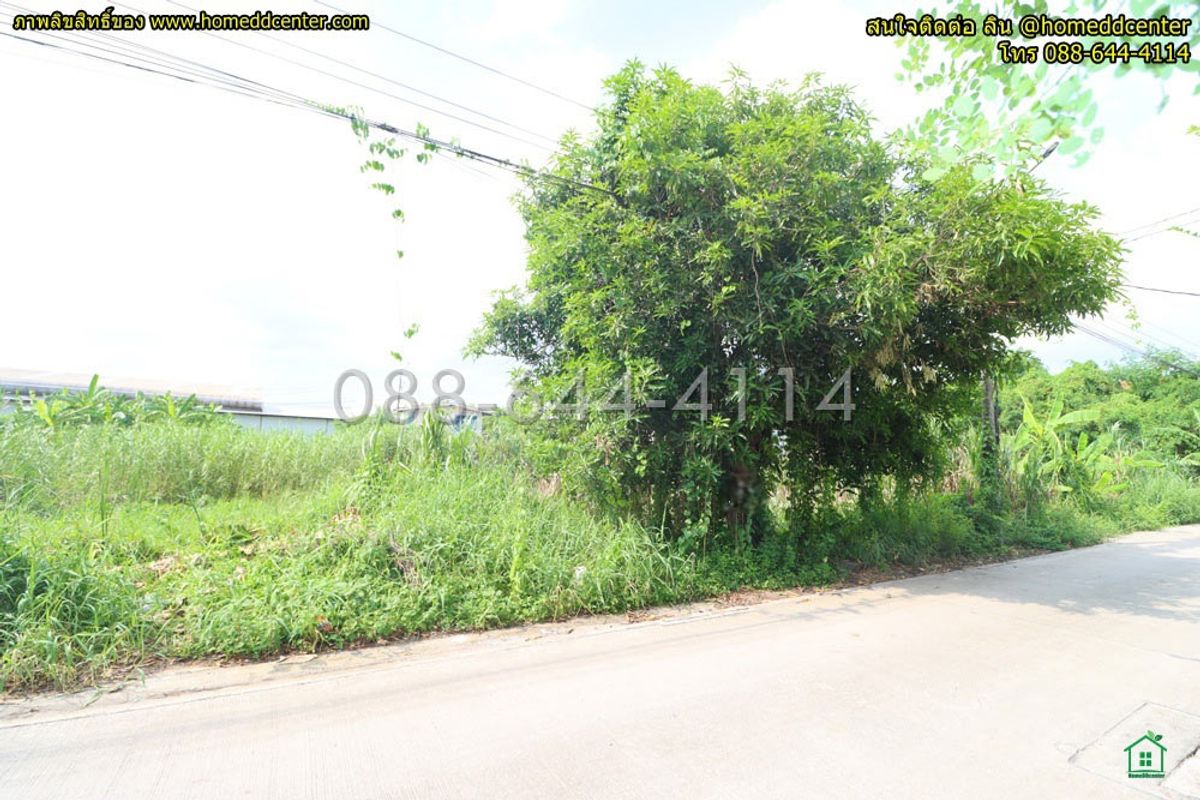 ขายที่ดินลาดกระบัง สุวรรณภูมิ : ขายที่ดิน 52 ตรว.พัฒนาชนบท 3 แยก 4 ลาดกระบัง ใกล้สนามบินสุวรรณภูมิ, แอร์ลิงก์ ลาดกระบัง เข้าออก ถ. ศรีนครินทร์-ร่มเกล้า และเลียบมอเตอร์เวย์ ได้