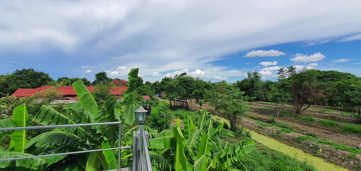 ขายบ้านอ่อนนุช อุดมสุข : ขายบ้านเดี่ยว 2 ชั้น  มบ.ผกามาศ ปรีดีย์พนมยงค์ 14  พระโขนง กรุงเทพ  150 ตรว. เพียงตรว.ละ 1 แสนบาทเท่านั้น  (หากต้องการที่ดินเปล่า ยินดีรื้อสิ่งปลูกสร้างออก)