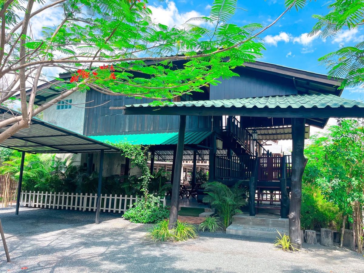 ให้เช่าบ้านเชียงใหม่ : 🌲 บ้านไม้บรรยากาศรีสอร์ทในสวนธรรมชาติ พร้อมปล่อยเช่ารายเดือน เหมาะสำหรับทำ Airbnb / โฮมสเตย์ หรือพักผ่อนระยะยาว 🔥 เช่า 28,000บาท/เดือน