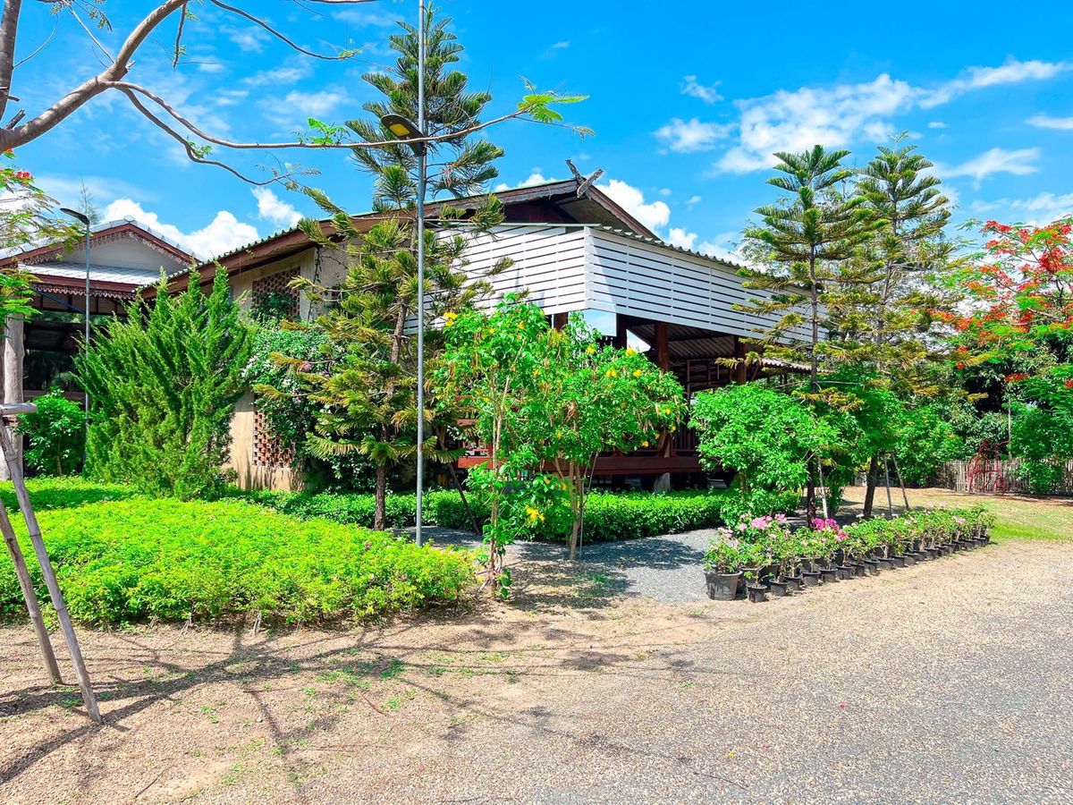 ให้เช่าบ้านเชียงใหม่ : 🌲 บ้านไม้บรรยากาศรีสอร์ทในสวนธรรมชาติ พร้อมปล่อยเช่ารายเดือน เหมาะสำหรับทำ Airbnb / โฮมสเตย์ หรือพักผ่อนระยะยาว 🔥 เช่า 25,000บาท/เดือน