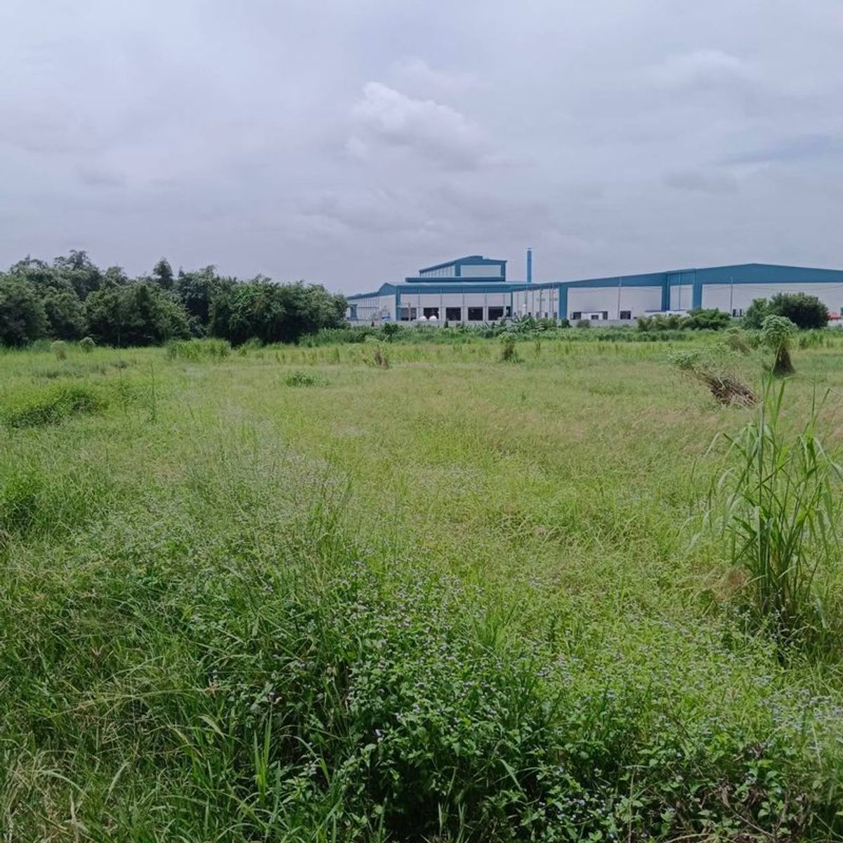 ขายที่ดินศรีราชา แหลมฉบัง บ้านบึง : ขายที่ดินเปล่าแปลงสวย โซนศรีราชา เขาคันทรง ติดนิคมโรจนะ
