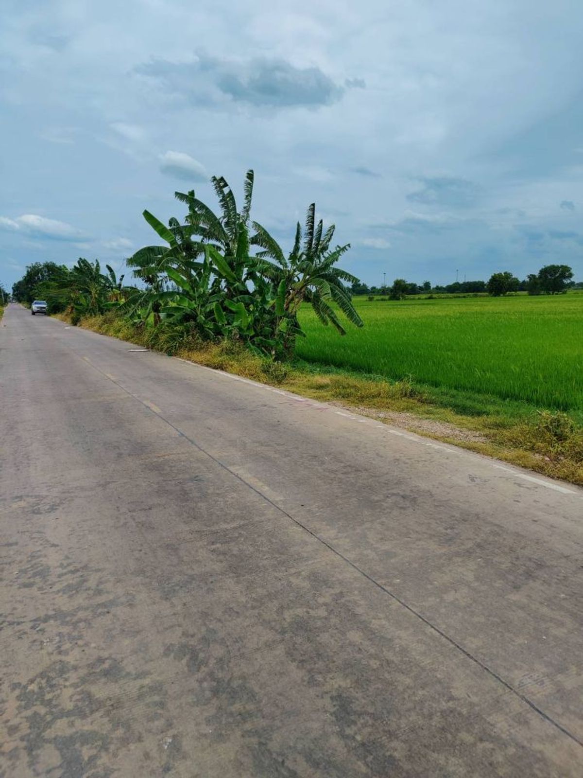 ขายที่ดินปทุมธานี รังสิต ธรรมศาสตร์ : ขายที่ดินเปล่า ทำเลดีติดถนน ตำบลคลองสาม อำเภอคลองหลวง จังหวัดปทุมธานี