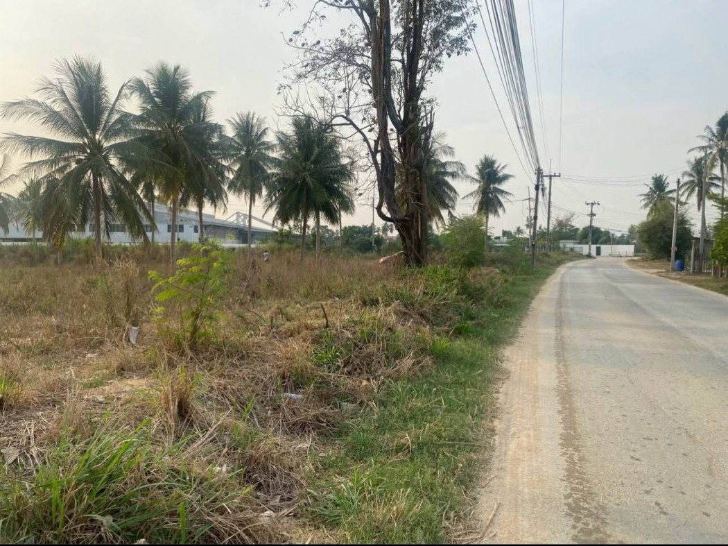 ขายที่ดินพัทยา บางแสน ชลบุรี สัตหีบ : ขายที่ดิน 5-2-65 ไร่ ถนนสายนาวัง ซอย 11 ใกล้ทางหลวงสายชลบุรี-พัทยา