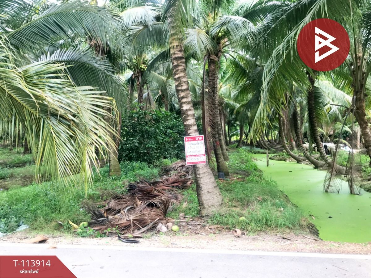 ขายที่ดินสมุทรสงคราม : ขายที่ดิน เนื้อที่ 5 ไร่ 66 ตร.วา บางคนที สมุทรสงคราม