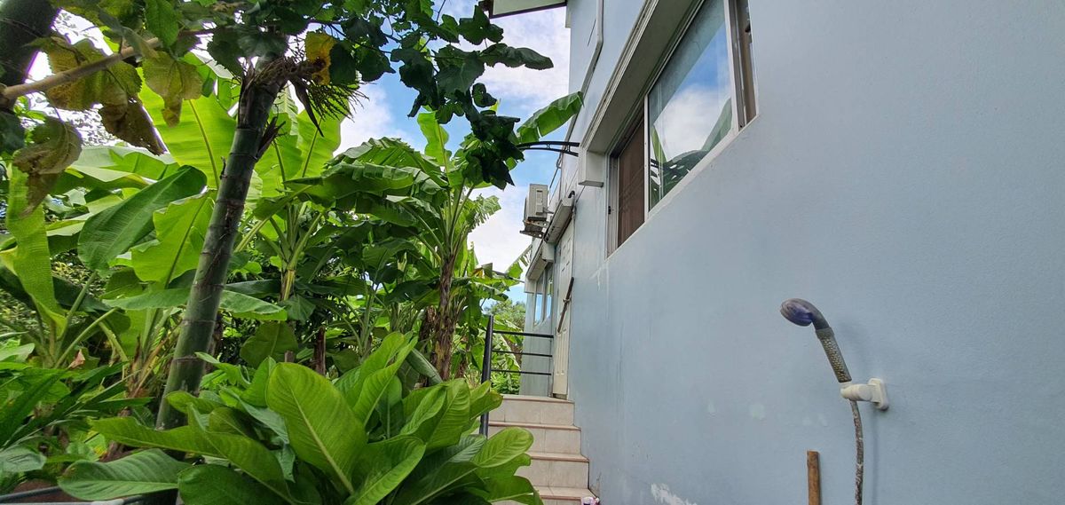 ขายบ้านอ่อนนุช อุดมสุข : ขายบ้านเดี่ยว 2 ชั้น  มบ.ผกามาศ ปรีดีย์พนมยงค์ 14  พระโขนง กรุงเทพ  150 ตรว. เพียงตรว.ละ 1 แสนบาทเท่านั้น  (หากต้องการที่ดินเปล่า ยินดีรื้อสิ่งปลูกสร้างออก)