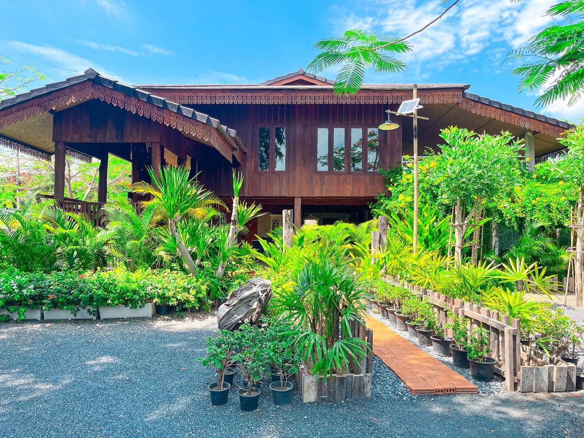 ให้เช่าบ้านเชียงใหม่ : 🌲 บ้านไม้บรรยากาศรีสอร์ทในสวนธรรมชาติ พร้อมปล่อยเช่ารายเดือน เหมาะสำหรับทำ Airbnb / โฮมสเตย์ หรือพักผ่อนระยะยาว 🔥 เช่า 35,000 บาท/เดือน