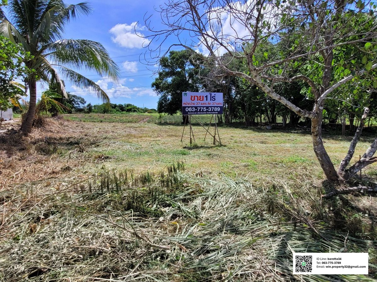 For SaleLandHuahin, Prachuap Khiri Khan, Pran Buri : Land for sale 409.6 sq.w., 37 meters wide, next to the cement road, very cheap