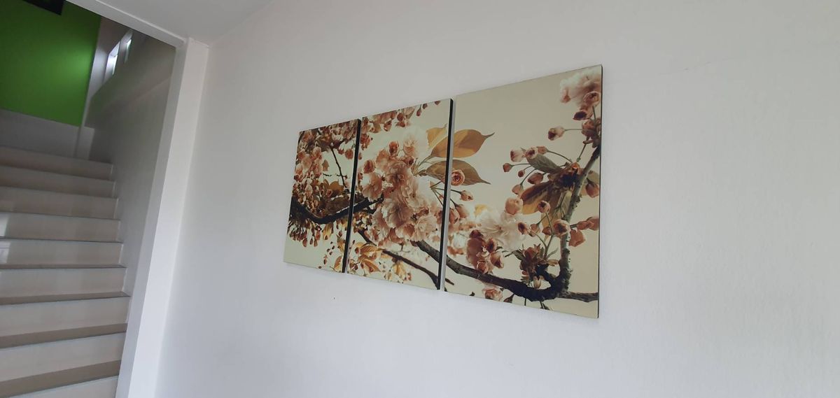 ขายบ้านอ่อนนุช อุดมสุข : ขายบ้านเดี่ยว 2 ชั้น  มบ.ผกามาศ ปรีดีย์พนมยงค์ 14  พระโขนง กรุงเทพ  150 ตรว. เพียงตรว.ละ 1 แสนบาทเท่านั้น  (หากต้องการที่ดินเปล่า ยินดีรื้อสิ่งปลูกสร้างออก)