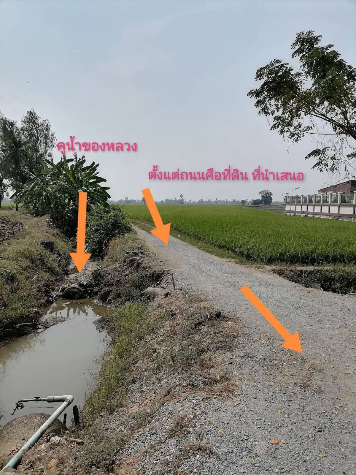 For SaleLandSuphan Buri : Sell ​​at the rice field, good location Easy to travel on the road There is a water ditch to the water, Nong Sadao Subdistrict, Sam Chuk District, Suphan Buri Province, 93 rai.