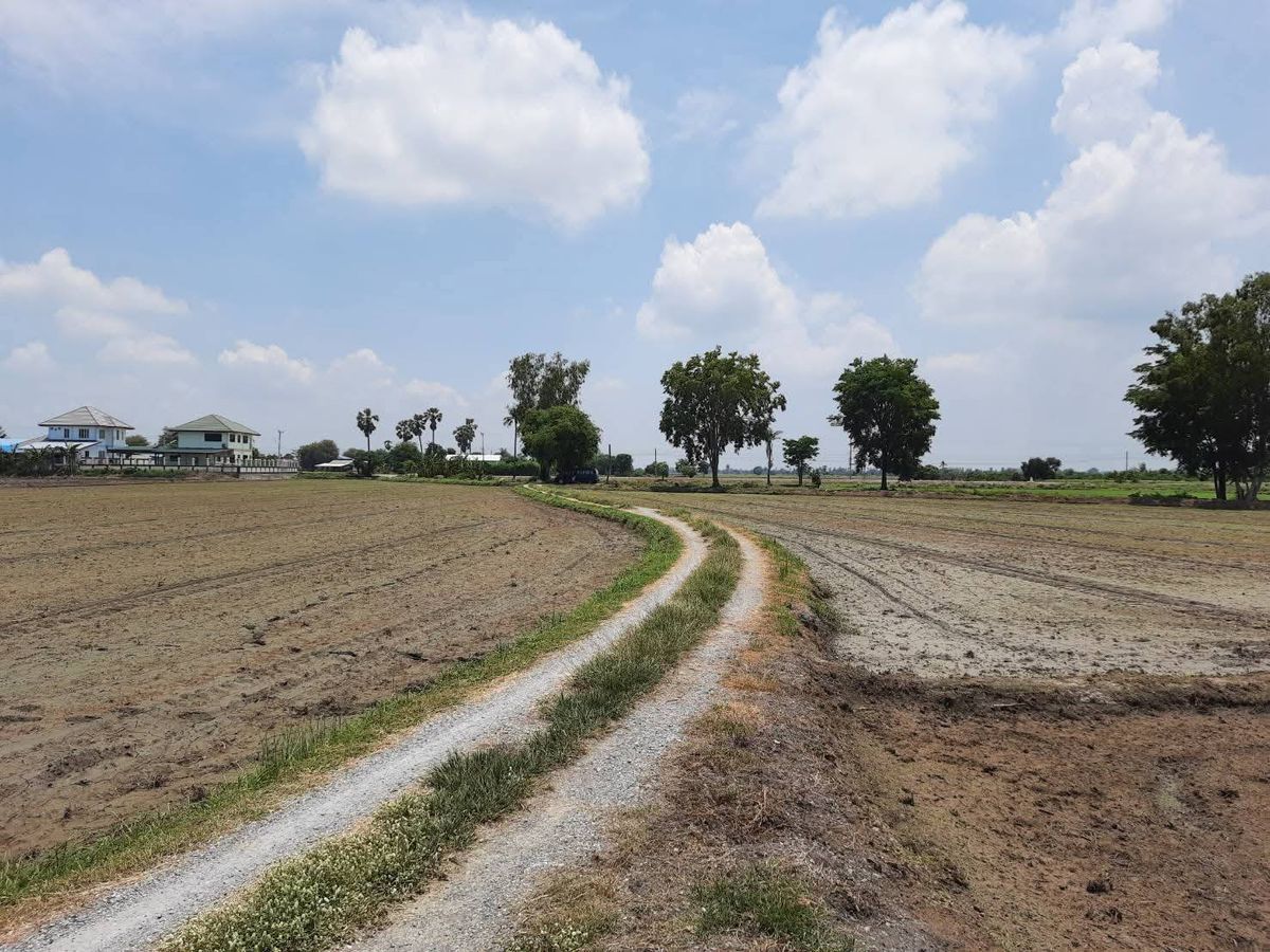 For SaleLandSuphan Buri : Sell ​​at the rice field, good location Easy to travel on the road There is a water ditch to the water, Nong Sadao Subdistrict, Sam Chuk District, Suphan Buri Province, 93 rai.