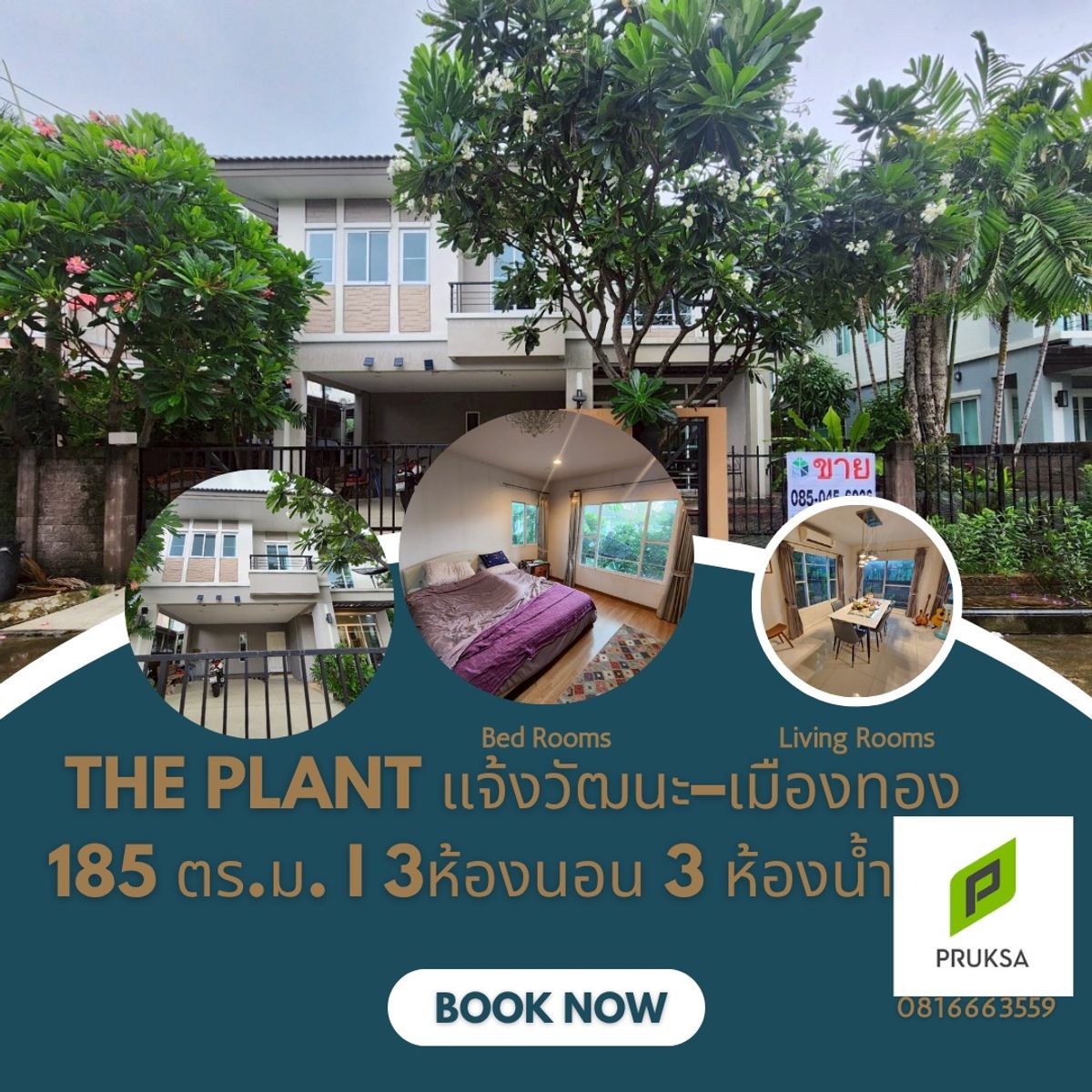 ขายบ้านแจ้งวัฒนะ เมืองทอง : ขายบ้านเดี่ยว The Plant แจ้งวัฒนะ–เมืองทอง บ้านสวย ฟังก์ชันครบ ทำเลดี ใกล้คลับเฮ้าส์