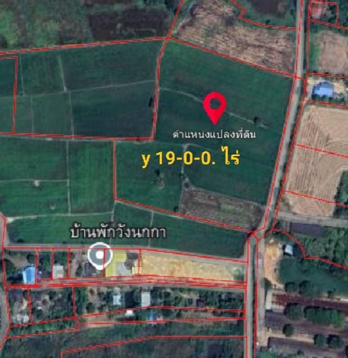 ขายที่ดินฉะเชิงเทรา : ขายที่ดิน 19 ไร่ ถนนวังนกกา ต.แปลงยาว อ.บางคล้า จ.ฉะเชิงเทรา