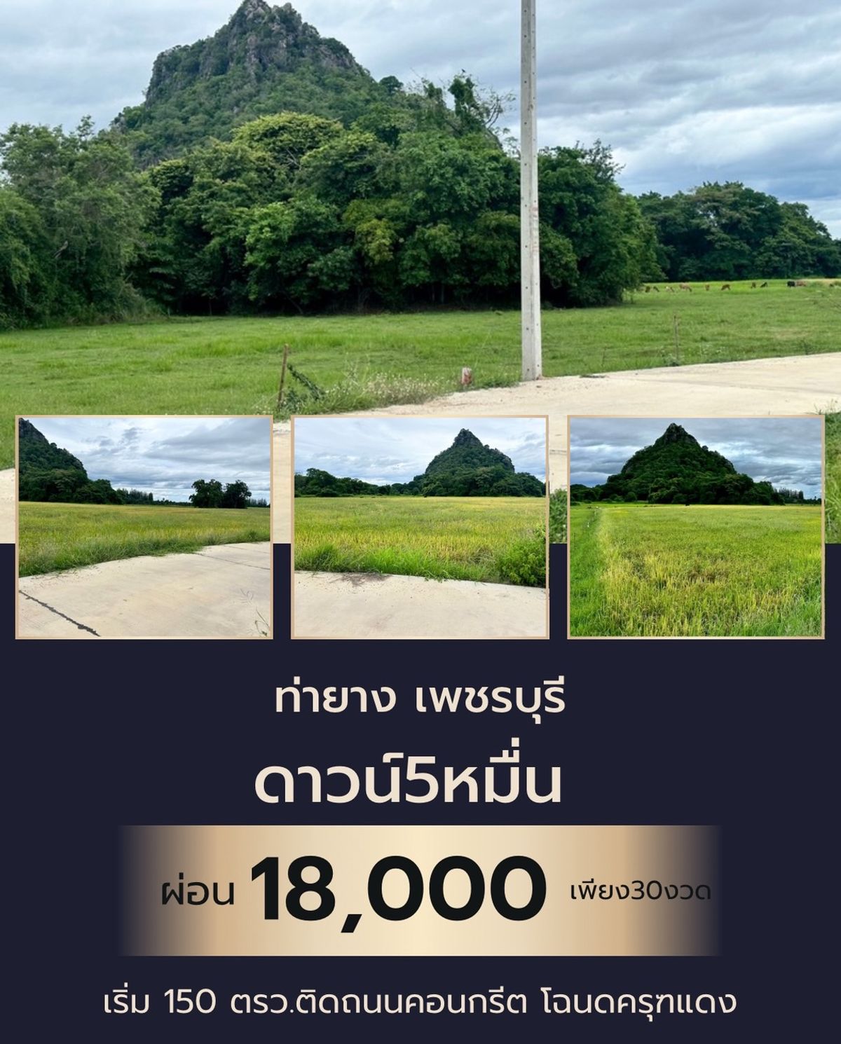 ขายที่ดินชะอำ เพชรบุรี : ที่ดิน ท่ายาง จ. เพชรบุรี ติดคอนกรีต มีน้ำ ไฟฟ้าพร้อม สด ผ่อนได้