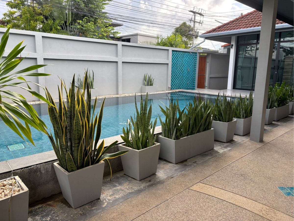 For RentPhuket : Rent Pool Villa, Choeng Sea Zone