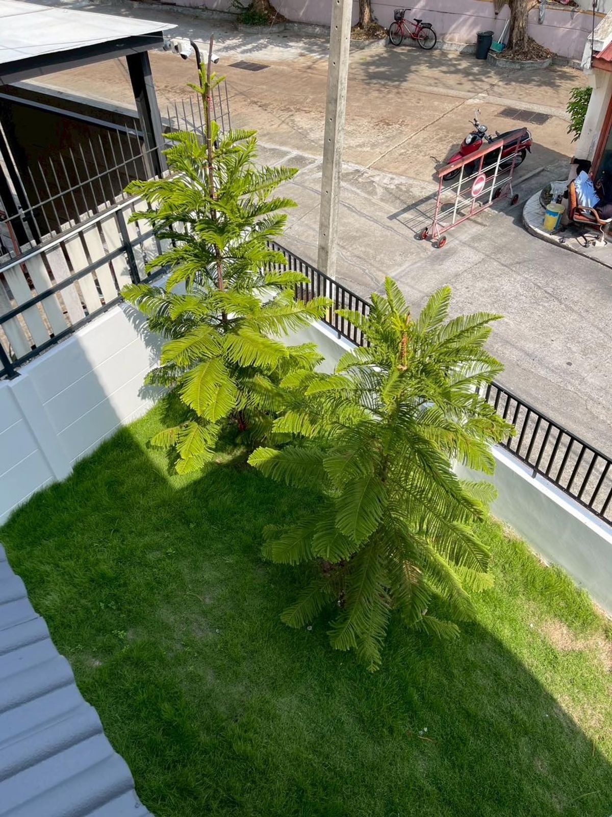 For SaleHouseSeri Thai, Ramkhamhaeng Nida : 🎉🏡 Special price! Re -house house #Preecha Village, Petch #Ramkhamhaeng 76, Gold Location, ready to move in! Free lying! ✨