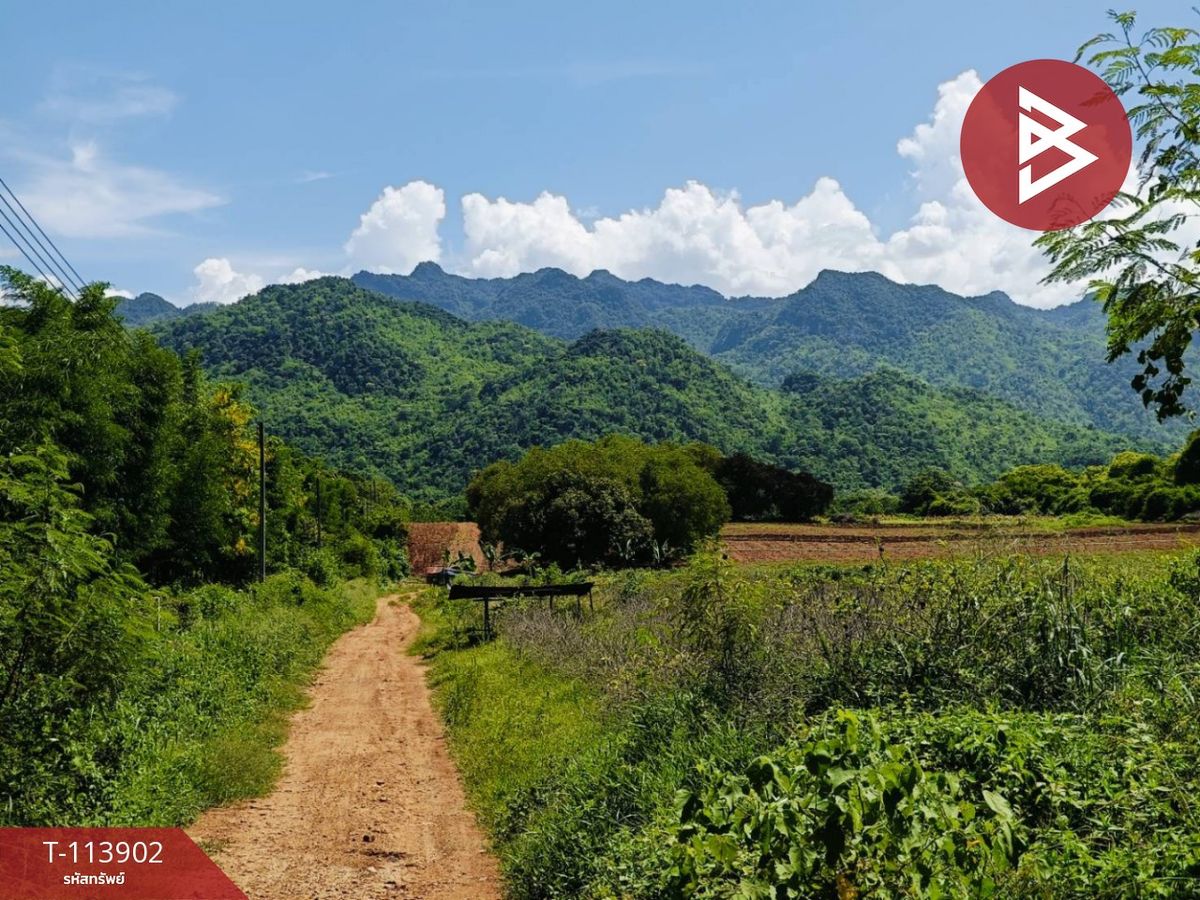 ขายที่ดินกาญจนบุรี : ขายที่ดิน เนื้อที่ 40 ไร่ 2 งาน 70 ตร.วา ไทรโยค กาญจนบุรี