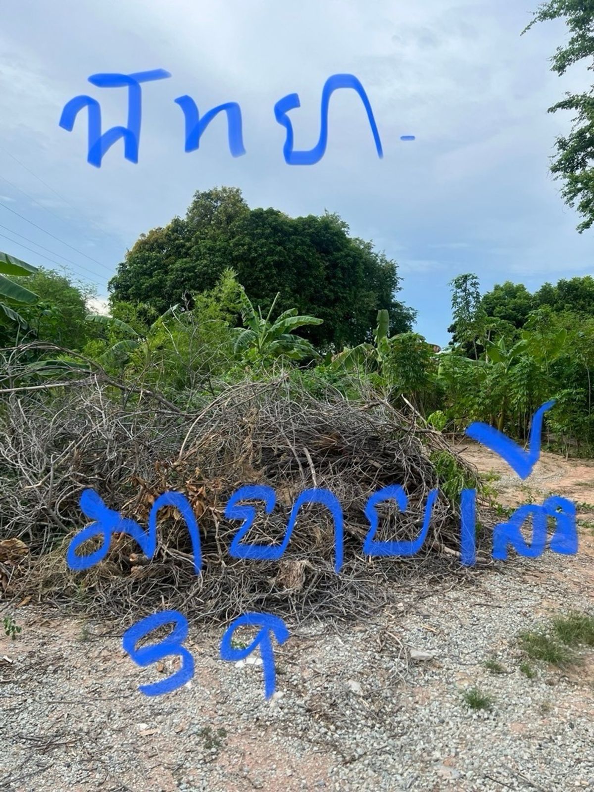 ขายที่ดินพัทยา บางแสน ชลบุรี สัตหีบ : ที่ดินพัทยา 1 ไร่ 77 ตรว. มาบยายเลีย พัทยา