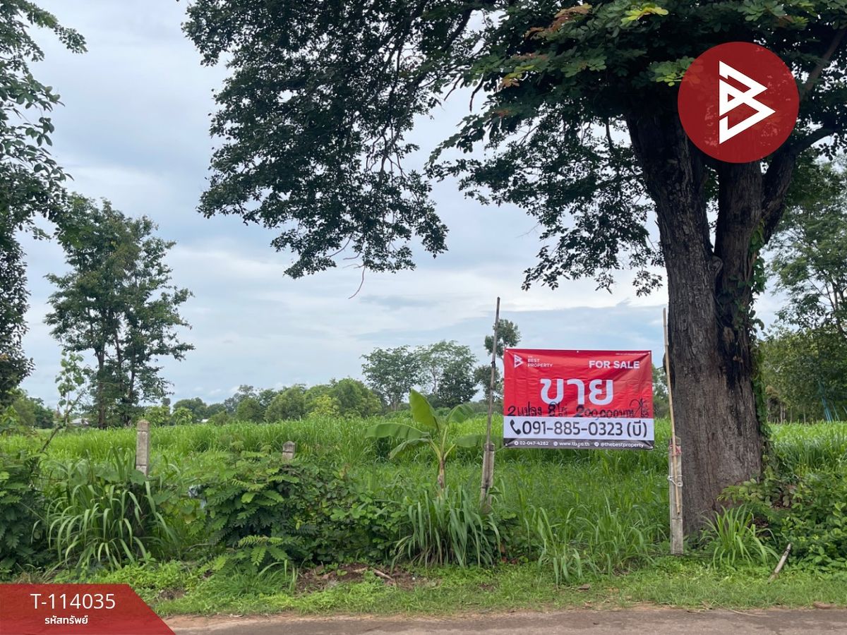 ขายที่ดินอำนาจเจริญ : ขายที่ดิน เนื้อที่ 8 ไร่ นายม อำนาจเจริญ