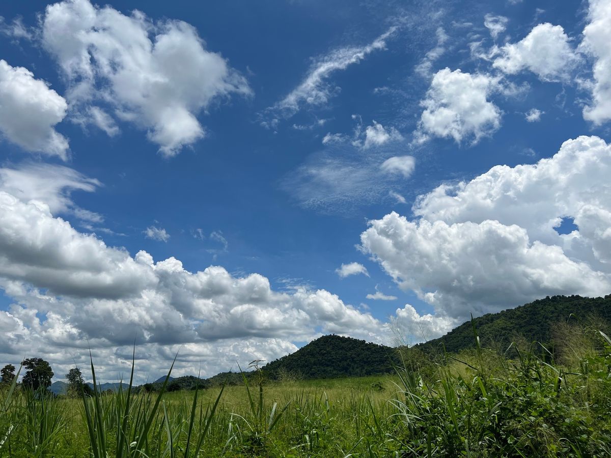 ขายที่ดินกาญจนบุรี : โอกาสทอง! ขายที่ดินเช่าราชพัสดุ ทำเลศักยภาพสูง พุน้ำร้อน - บ้านเก่า กาญจนบุรี 🌿 📍ใกล้ด่านพุน้ำร้อน-ทวาย มอเตอร์เวย์ M81 และศูนย์ราชการแห่งอนาคต!