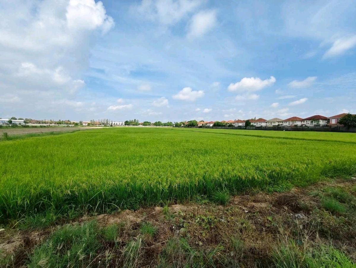 For SaleLandPathum Thani,Rangsit, Thammasat : Beautiful plot of land, Lam Luk Ka, Khlong 5 | 8 rai more than | prices lower than the market 🔥 Near the main road, only 500 meters | Suitable for investment!