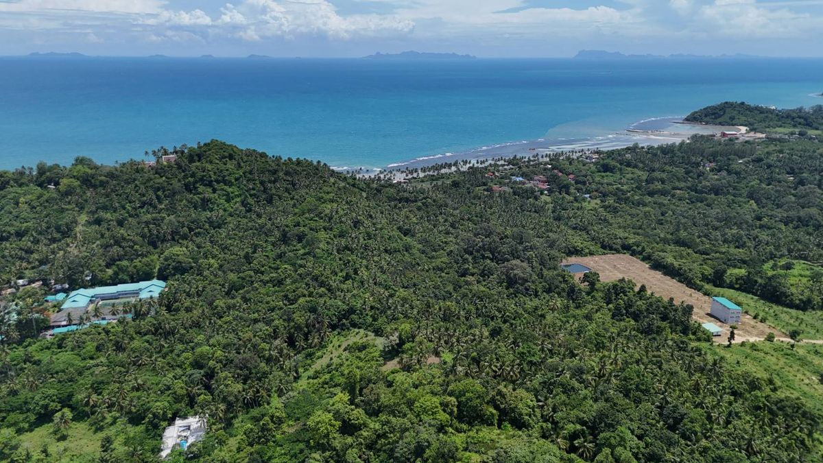 For SaleLandKoh Samui, Surat Thani : Special land for sale on Koh Samui!