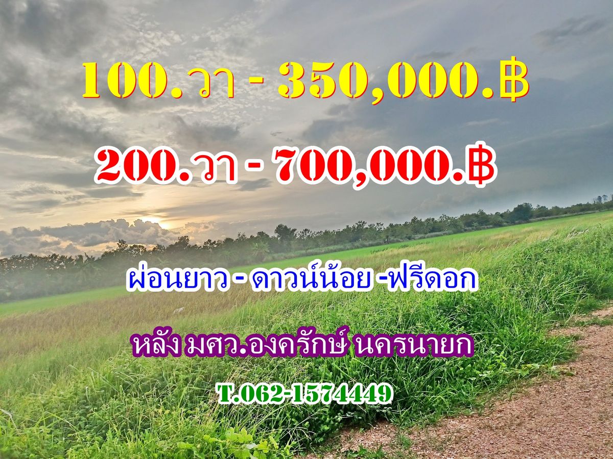 ขายที่ดินนครนายก : ที่ดินถูกผ่อนได้ใกล้ มศว.องครักษ์  นครนายก T.062-1574449 ที่ดินสวยผ่อนนาน-ฟรีดอก-หลัง มศว.องครักษ์ นครนายก