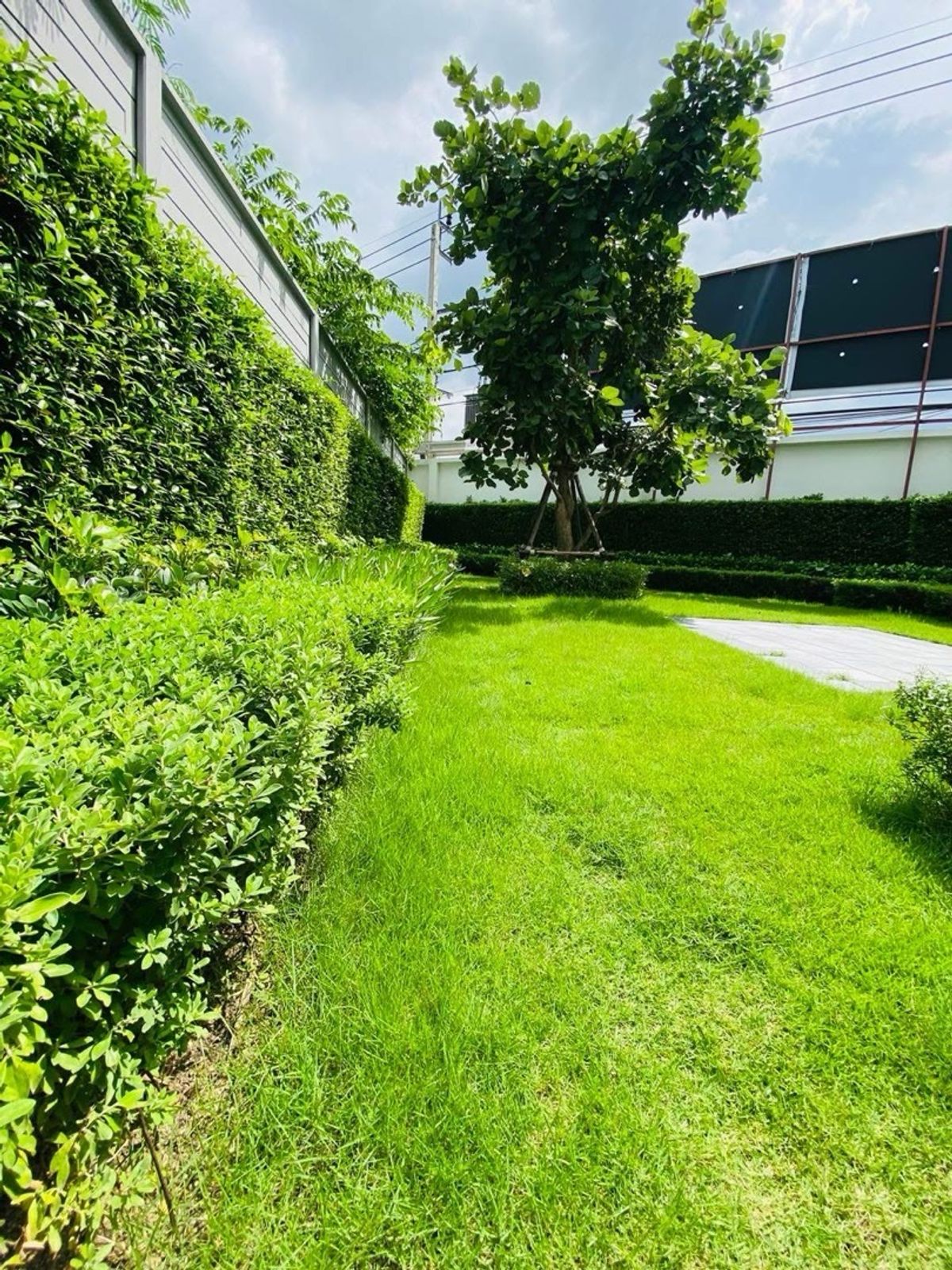 ให้เช่าบ้านนนทบุรี บางใหญ่ บางบัวทอง : THE MASTER ราชพฤกษ์ – สะพานเจษฎาบดินทร์ ให้เช่า บ้านเดี่ยว 3 ชั้นสุดหรู 